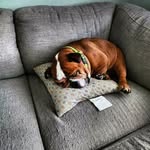 Nolan field - @nolan_field___ - Instagram