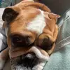Nolan_field - @nolan___field - TikTok