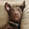 Nolan Field - @burnt.outtoast - TikTok