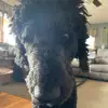 NolanField - @nolanfield - TikTok