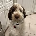 Nolan Fleming - @flem_dog98 - Instagram