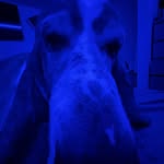 Nolan william fleming - @nolanwilliamfleming - Instagram