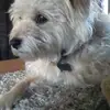 Nolan Andrew Perkins - @nolan_perkins - TikTok
