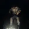 papi - @nolanperkins0 - TikTok
