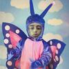 Nolan Robert - @nolanrobert1 - TikTok