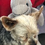 Nolan Salmon - @nolan.salmon.129 - Instagram