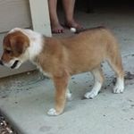 Nolan Sanchez - @nolan.sanchez.167 - Instagram
