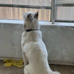 Nolan Sims - @nolan.0_o - Instagram