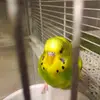 Nolan Smart - @nolan.smart - TikTok