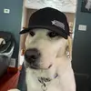nolan_stone950 - @nolan2707cs - TikTok