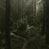 nolanstone64 - @xx_33363 - TikTok