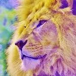 Nolan West - @psychedelicsimba - Instagram