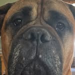 Nolan West - @nolan_west4645 - Instagram