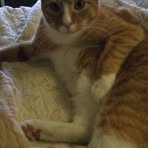 Nolan Yeager - Facebook