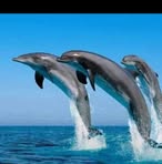 Nolberto Barrios - Facebook