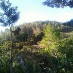 Nolberto Ortiz - @nolberto.ortiz.50309 - Instagram