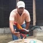 Noli Miranda - @noli28633 - Instagram