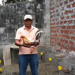 Noli Miranda Gomez - @gomeznolimiranda - Instagram