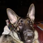 nona lee - @nonalee6333 - Instagram