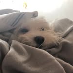 nona - @nonastonem - Instagram