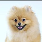 JamesT - @james_noni - Instagram