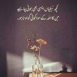 noor bibi. - @sabiha_714 - Instagram