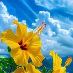 Noor Bibi - Facebook