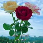 noor bibi  - Facebook