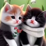 noorbibi - @noorbibi575 - Instagram