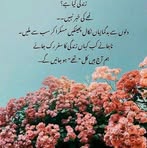 Noor Cheema - Facebook