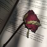 Noor.Cheema - @eknoorchema - Instagram