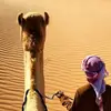 Noorul Islam - @noorul.islam214 - TikTok
