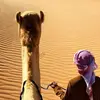 Noorul Islam - @noorul.islam762 - TikTok
