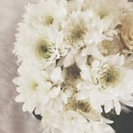 نور عبدالله - @norabdullah_89 - Instagram