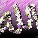 Nor Abdullah - @nor8554 - Instagram