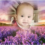 Nor Sed Abdullah - Facebook