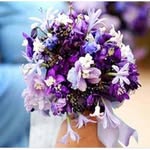 نور الأمل - @nora_abdou.22 - Instagram