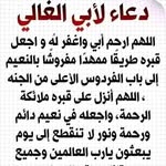 Nora Abdou - @abdou_nora3 - Instagram
