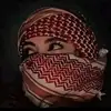 Nora Abdou - @noraabdou493 - TikTok