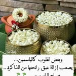 Nora Abdou - @nora.abdou.18 - Instagram