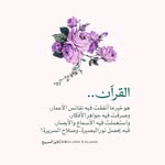 Nora Abdou - @nwrabdh340 - Instagram