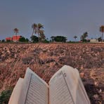 Nora Amin - Facebook