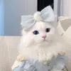 Nora Anthony - @noraanthony57 - TikTok