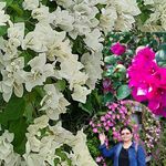 Nora Marcus - @nora.anthony.376 - Instagram