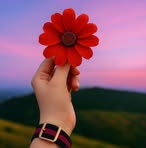 Nora Arias - Facebook