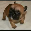 Nora Arias - @noraarias27 - TikTok