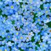 Nora Luisa Ballance - Facebook