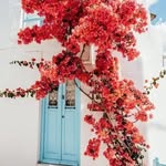 Nora Barcelo - @barcelonora1 - Instagram