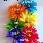 Nora Barrientos - @norabarrientos741 - Instagram