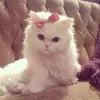 norabarrientos67 - @norabarrientos67 - TikTok